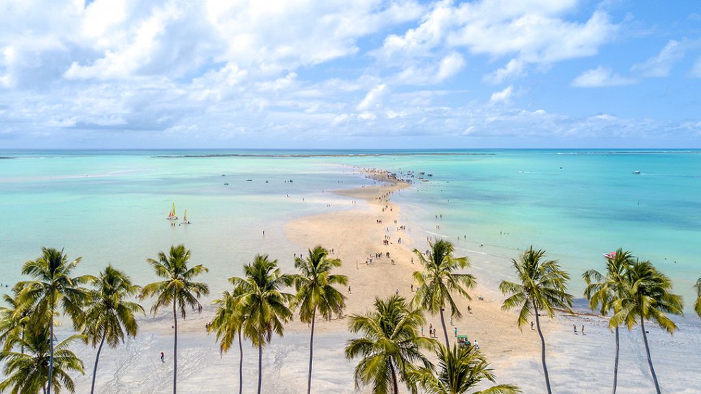 imagem de praia com um caminho de areia no meio.